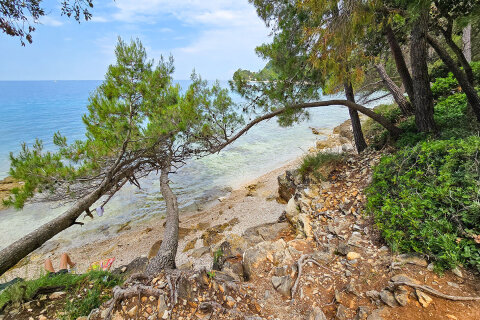 Zlatni rt - jedna z mnoha menších pláží, Rovinj, Istrie, Chorvatsko