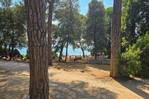 Zlatni rt, Rovinj, Istrie, Chorvatsko