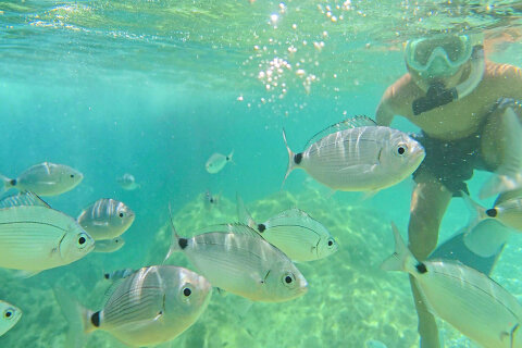 Pláž Girandella - šnorchlování, Rabac, Istrie, Chorvatsko