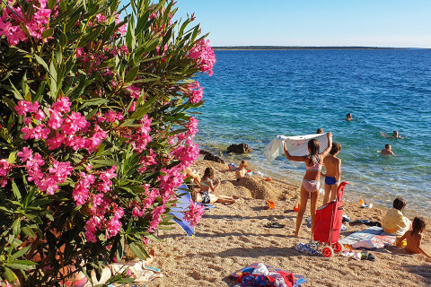 Apartmány Sandra - oblázková pláž 150 m od domu, Mandre, ostrov Pag, Chorvatsko