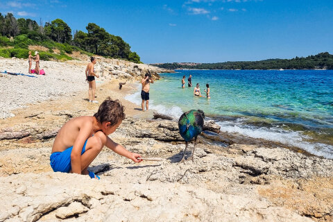 Ostrůvek Sveti Jerolim, národní park Brijuni, Istrie, Chorvatsko