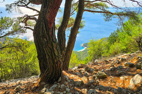 Lubenice, ostrov Cres, Chorvatsko