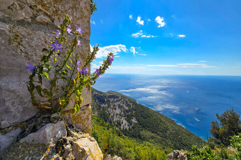 Lubenice, ostrov Cres, Chorvatsko