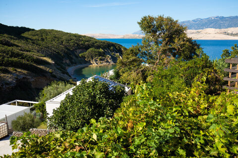 Apartmán pro 2–4 osoby, apartmány Jakić, Bošana, ostrov Pag, Chorvatsko