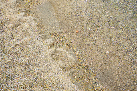 Apartmány Krešo - písčitá pláž, Šilo, ostrov Krk, Chorvatsko