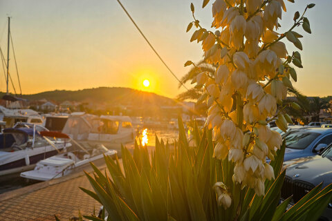 Resort Zelena Punta - procházka do městečka, Kukljica, ostrov Ugljan, Chorvatsko