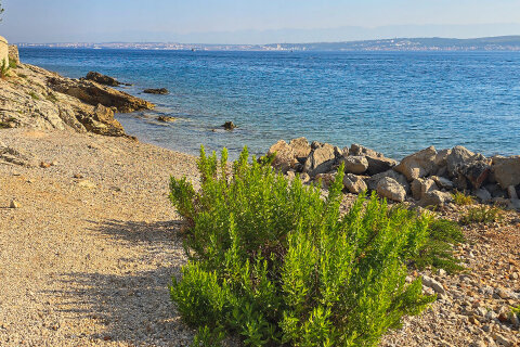 Resort Zelena Punta - pláže, Kukljica, ostrov Ugljan, Chorvatsko