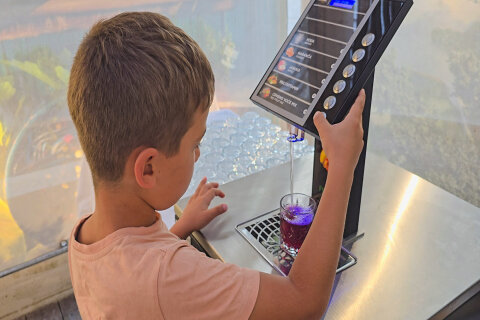 Resort Zelena Punta - bufetové snídaně v baru Skakaona, Kukljica, ostrov Ugljan, Chorvatsko