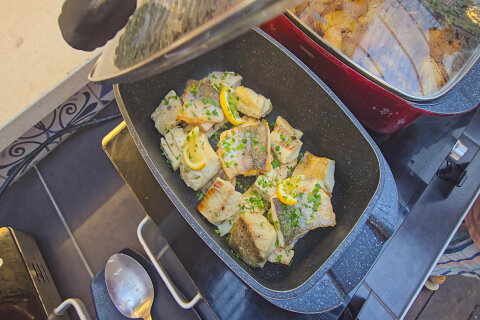 Resort Zelena Punta - bufetové večeře v baru Skakaona, Kukljica, ostrov Ugljan, Chorvatsko