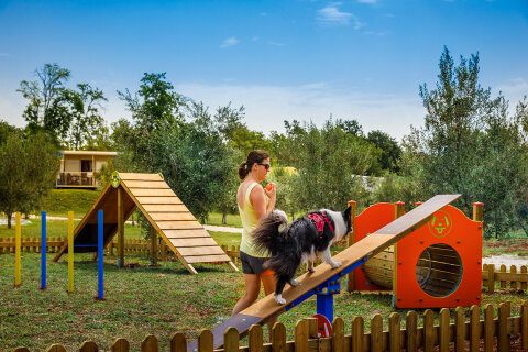 Aminess Maravea Resort**** - park pro psy, Novigrad - Cittanova, Istrie, Chorvatsko