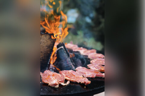 Apartmány Urania Family Resort - grilovací večer, Baška Voda, Makarská Riviéra, Chorvatsko