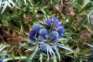 Chorvatsko, ostrov Pag, výstup na Sv. Vid