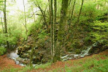 Chorvatsko, národní park Plitvice, jezera a vodopády