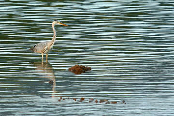Přírodní park Telaščica, Dugi Otok, Chorvatsko
