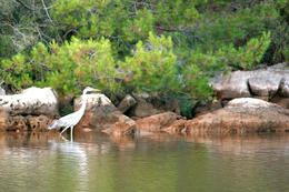 Přírodní park Telaščica, Dugi Otok, Chorvatsko