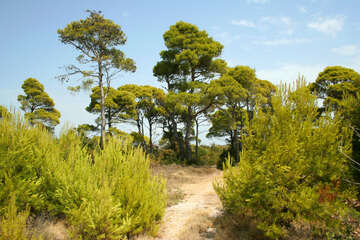 Přírodní park Telaščica, Dugi Otok, Chorvatsko