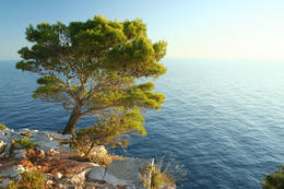 Přírodní park Telaščica, Dugi Otok, Chorvatsko