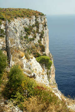 Přírodní park Telaščica, Dugi Otok, Chorvatsko