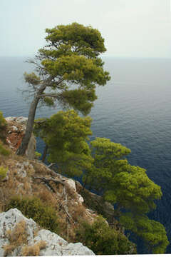 Přírodní park Telaščica, Dugi Otok